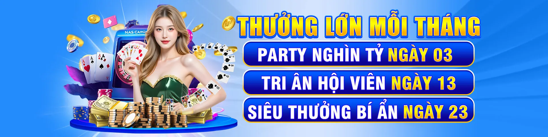 Hình ảnh đại diện cho Chính sách GDPR của VB9